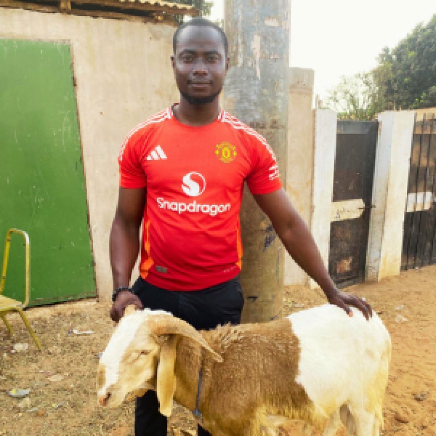 Meet Bakary Konateh: Gambian Agripreneur Turning Challenges into Opportunities