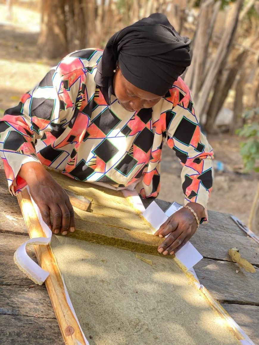 Meet Mariama Jobarteh: Empowering Women Through Natural Beauty and Sustainable Living